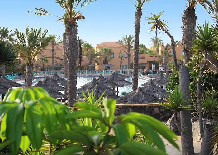 House Oasis מלון *