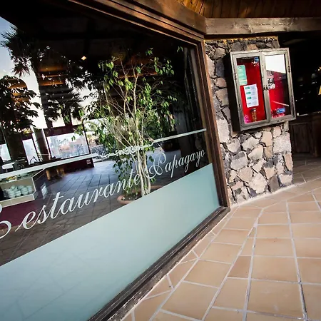 House Oasis ホテル