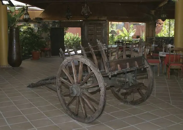 House Oasis 코라레호